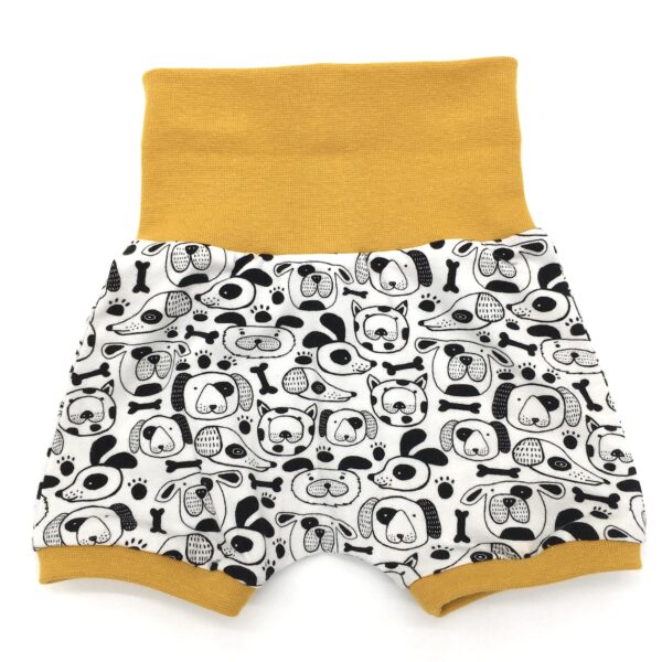 Short chiens 6 mois 2 MELIFACTORY