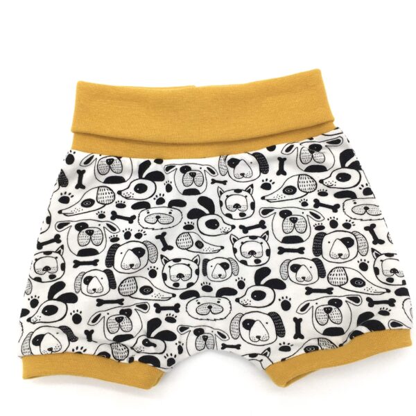 Short chiens 6 mois MELIFACTORY